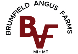 Brumfield Angus Farms Logo
